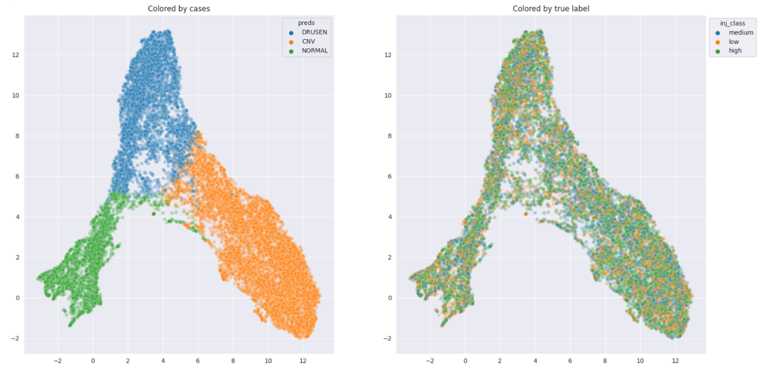 2D UMAP visualization of the learned model. Each B-scan is colored according to the most likely prediction class (left). The coloring is based on the need for CNV treatment (right) 