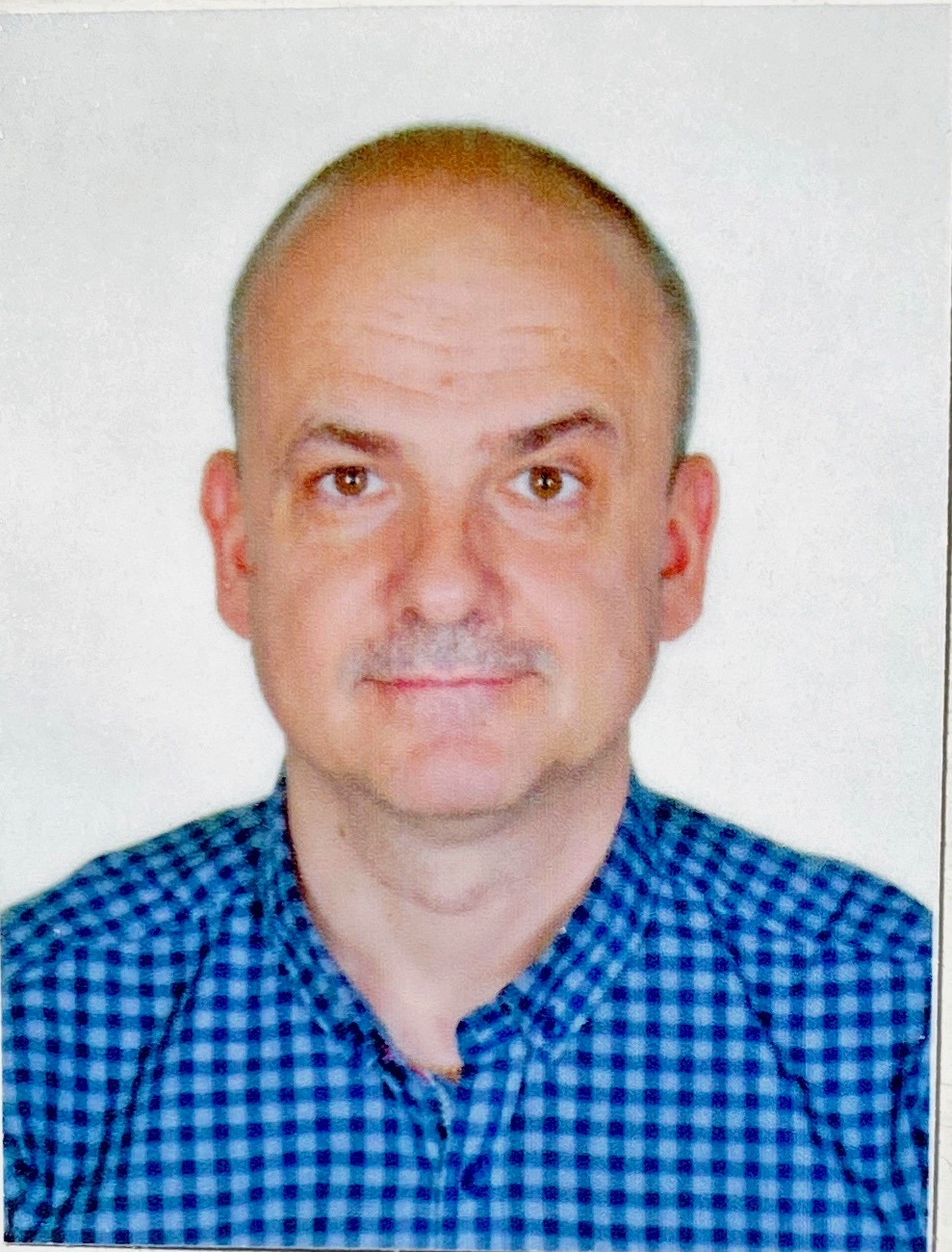 Prof. Horatiu Vermesan